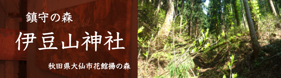 神社の名前